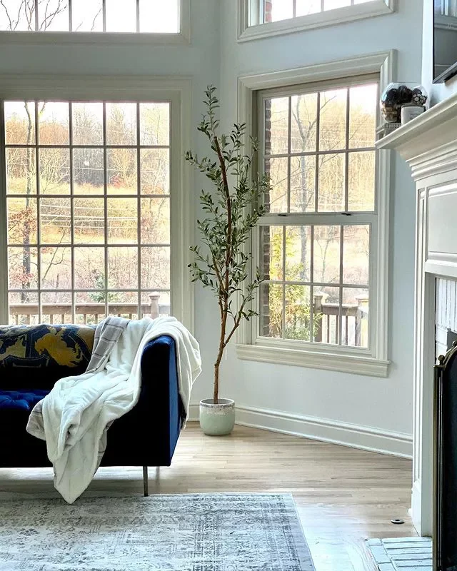 21 Stunning Bay Window Ideas That Will Transform Your Living Room 4 Place a Tree by the Window