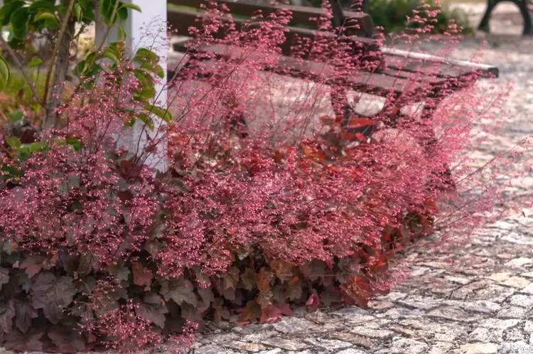 30 Stunning Fall Decor Ideas to Transform Your Outdoor Space Into an Autumn Paradise 25 Plant Coral Bells for Striking Foliage