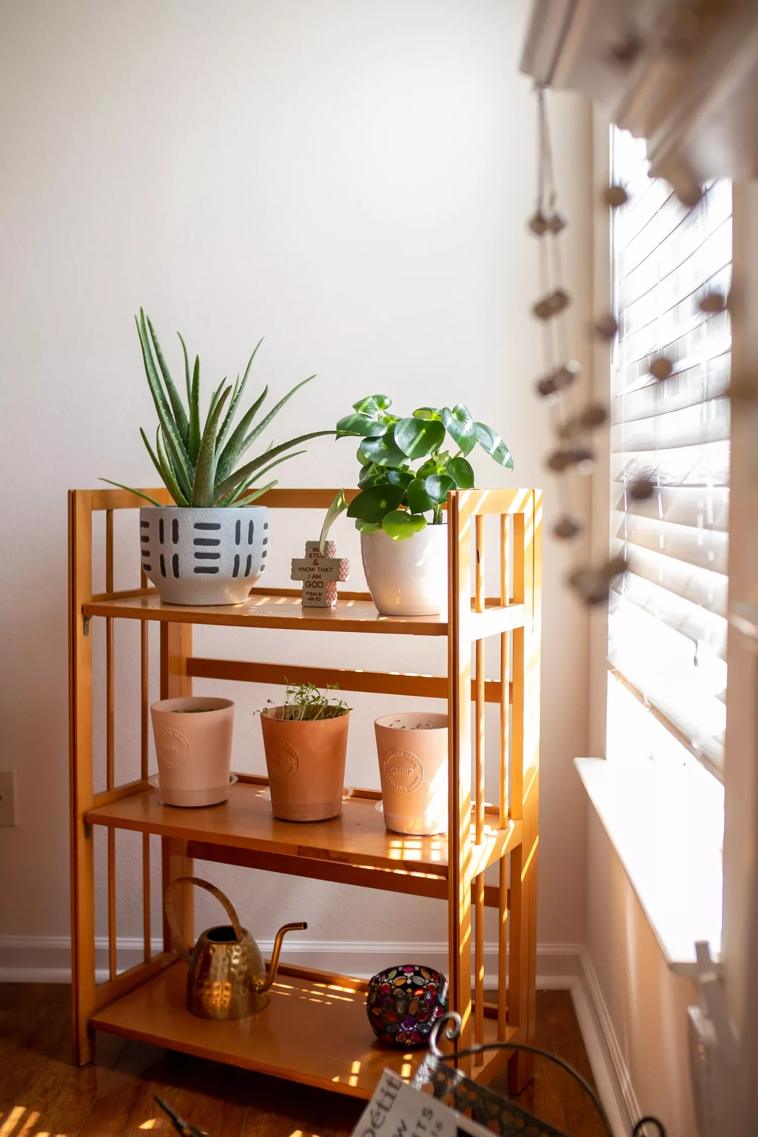 47 Creative Corner Shelf Ideas That'll Transform Your Space Plant Corner Shelf