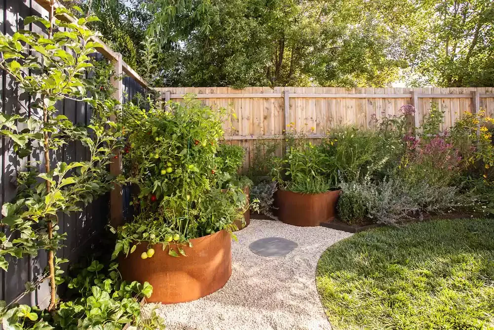 35 Enchanting Cottage Garden Ideas That Transform Your Outdoor Space Into a Magical Retreat Plant Edible and Ornamental Plants