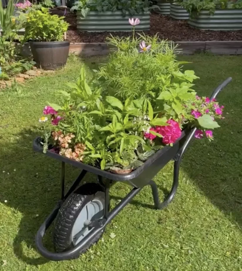 35 Enchanting Cottage Garden Ideas That Transform Your Outdoor Space Into a Magical Retreat Plant Flowers in an Old Wheelbarrow
