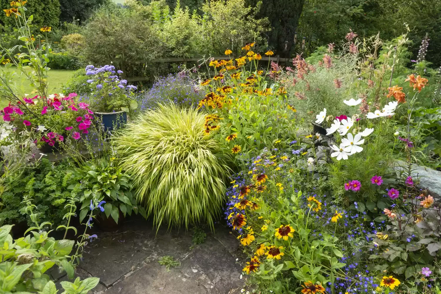 43 Budget-Friendly Backyard Makeover Ideas That Look Expensive 40 Plant Low-Maintenance Perennials