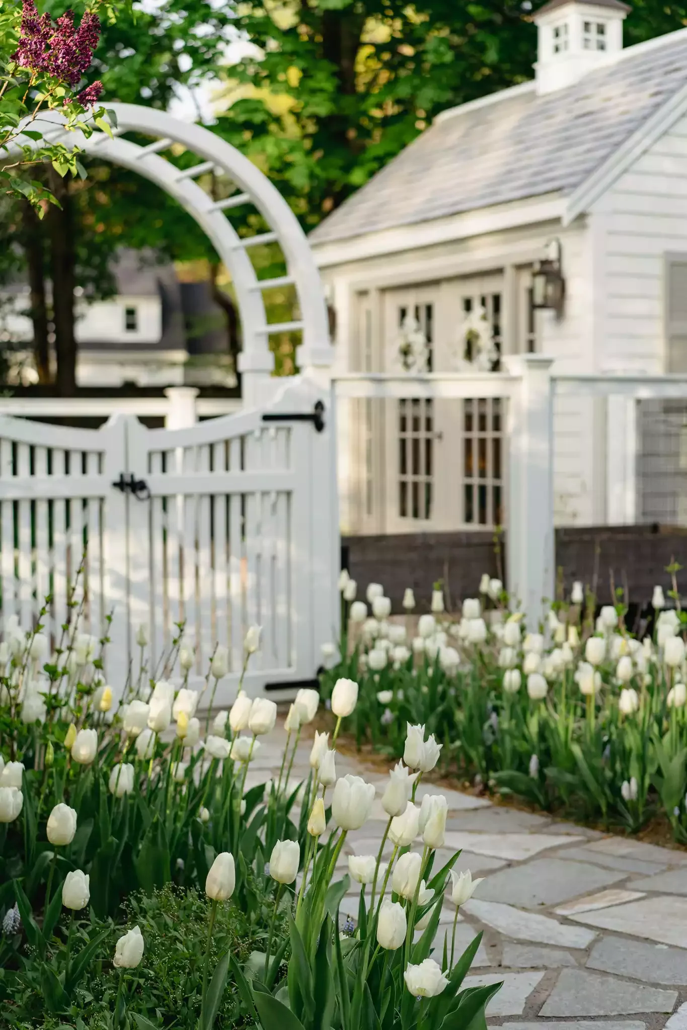 35 Enchanting Cottage Garden Ideas That Transform Your Outdoor Space Into a Magical Retreat Plant Rows of Tulips