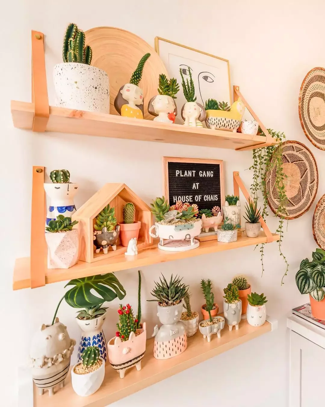 57 Inspiring Letter Board Ideas to Transform Every Room in Your Home Plant Shelf Letter Board