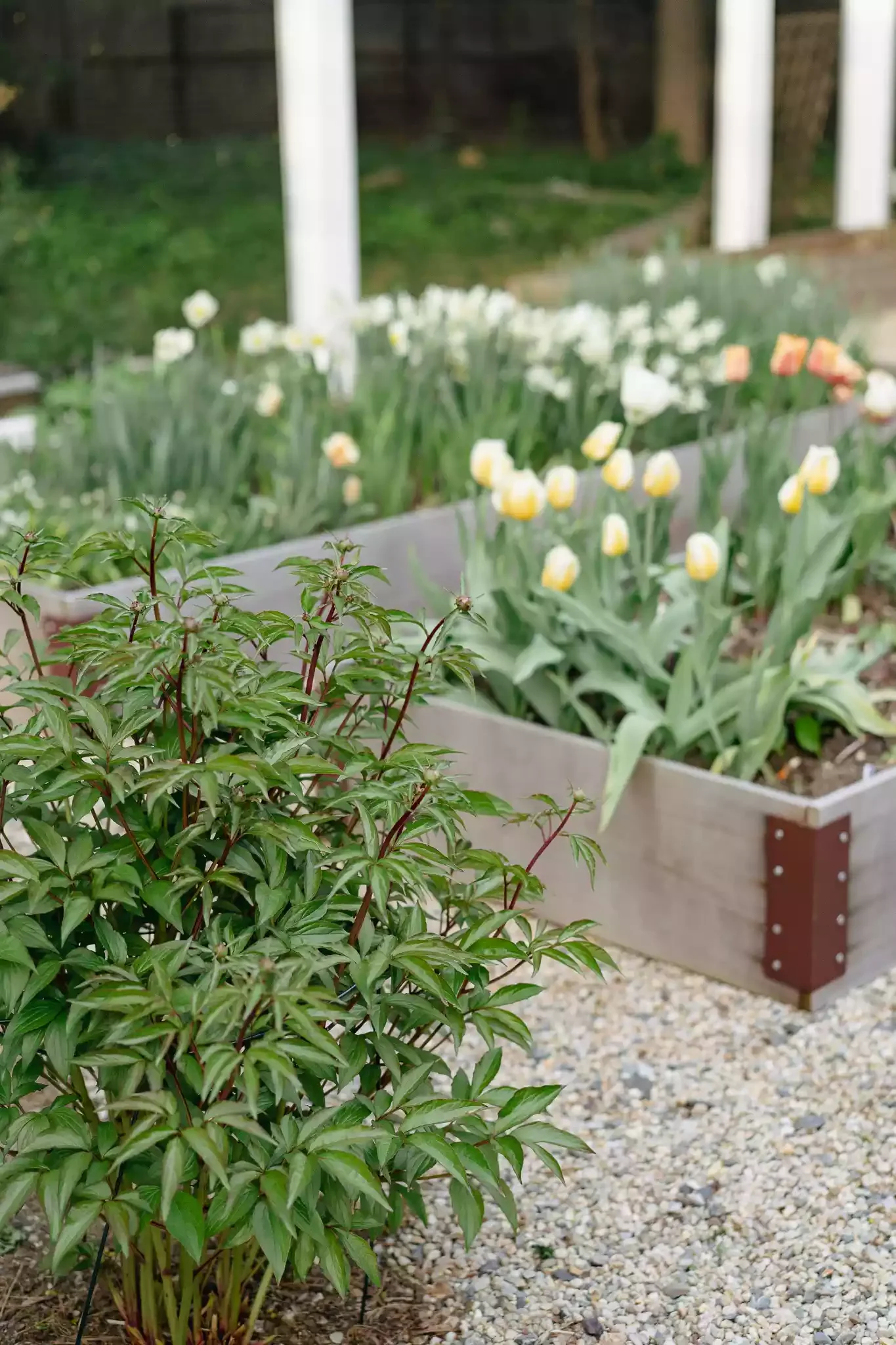 Plant Some Flowers