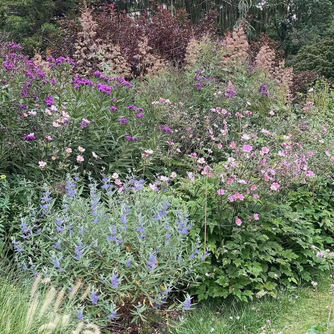 37 Stunning Flower Bed Designs That Will Transform Your Garden Plant Three Seasons of Perennials