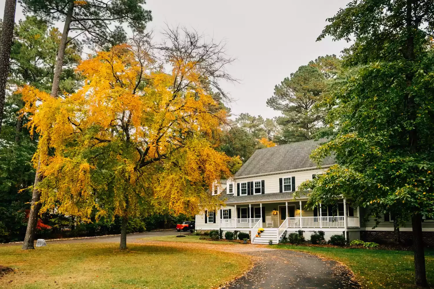 23 Budget-Friendly Front Yard Makeover Ideas That Will Wow Your Neighbors Plant Trees