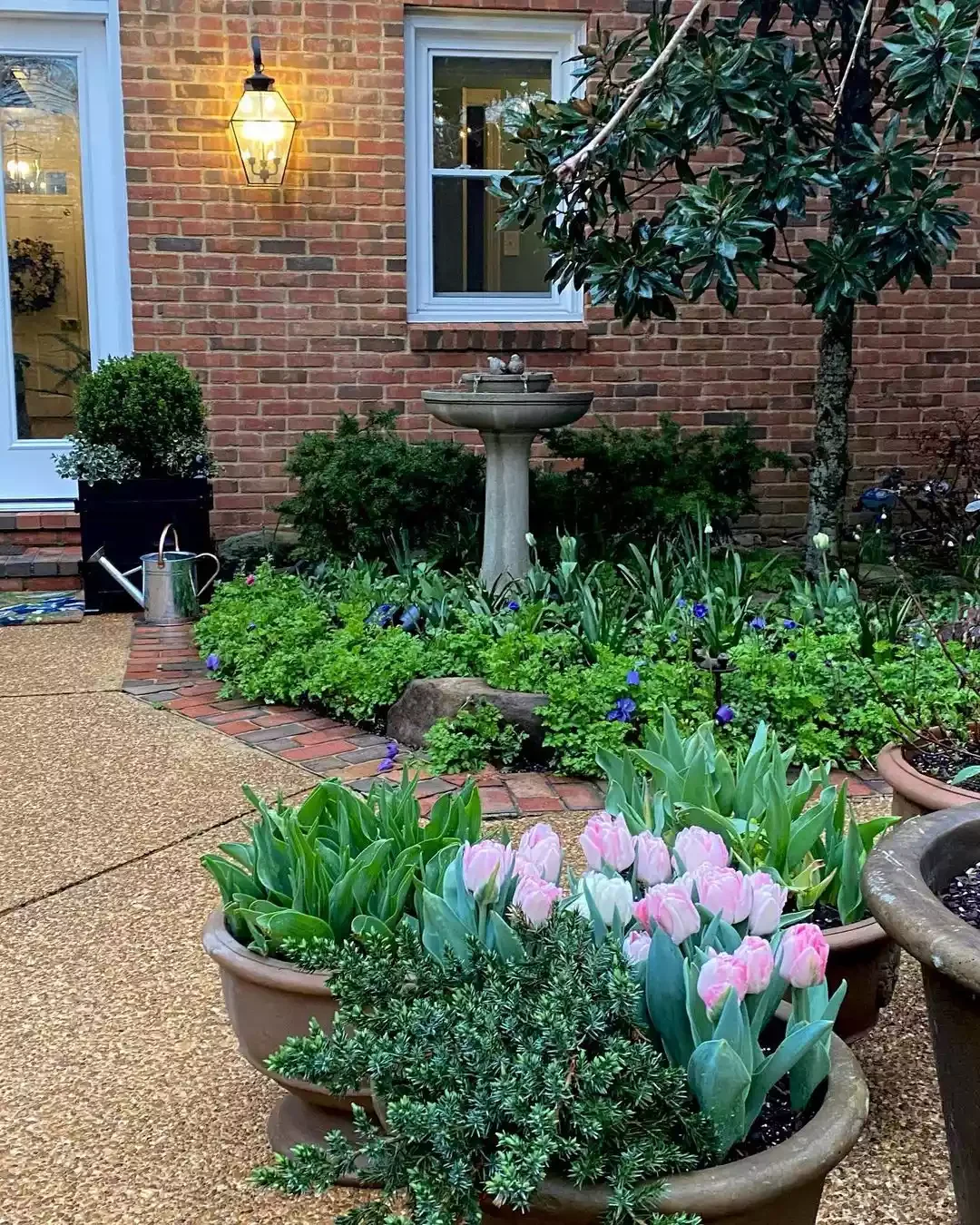 23 Stunning Patio Garden Designs to Transform Your Outdoor Space Plant Tulips in Pots