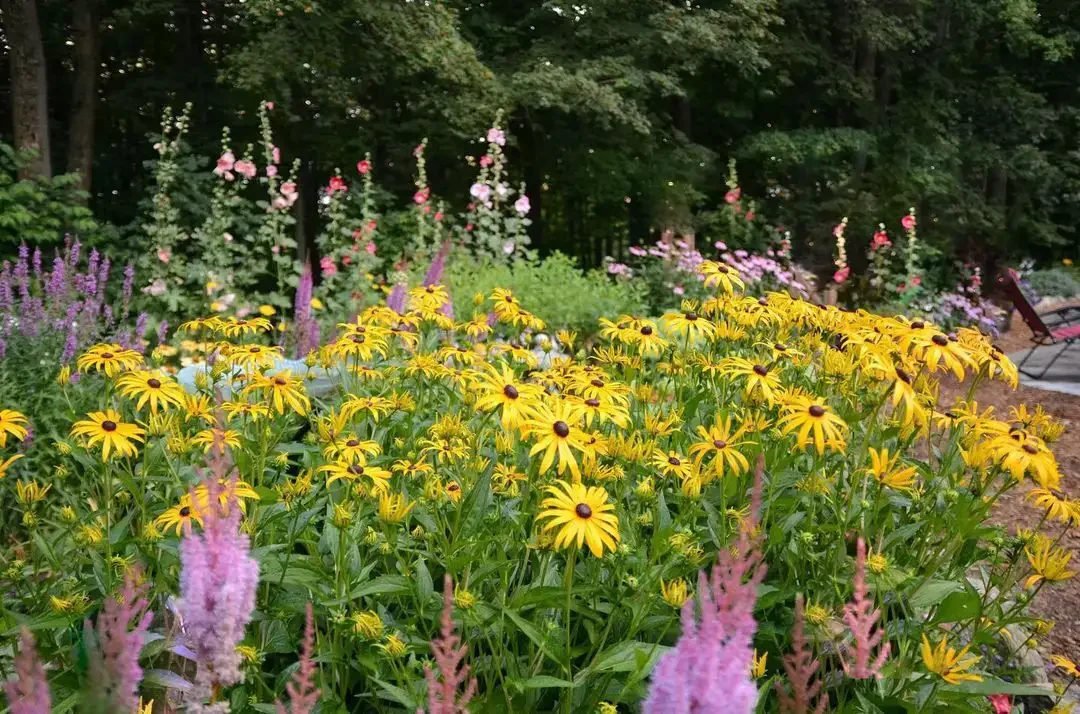34 Stunning Front Yard Flower Bed Ideas That Will Transform Your Curb Appeal 22 Plant Vibrant Flowers