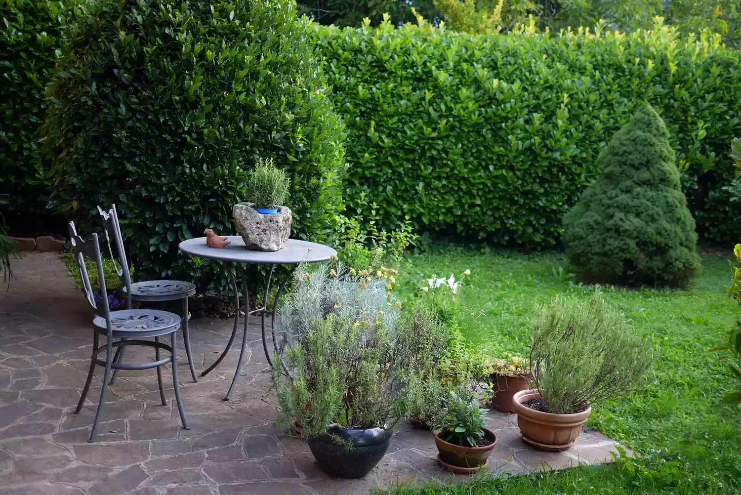 37 Creative Herb Garden Ideas to Transform Your Indoor and Outdoor Spaces Plant Woody Herbs for Year-Round Greenery
