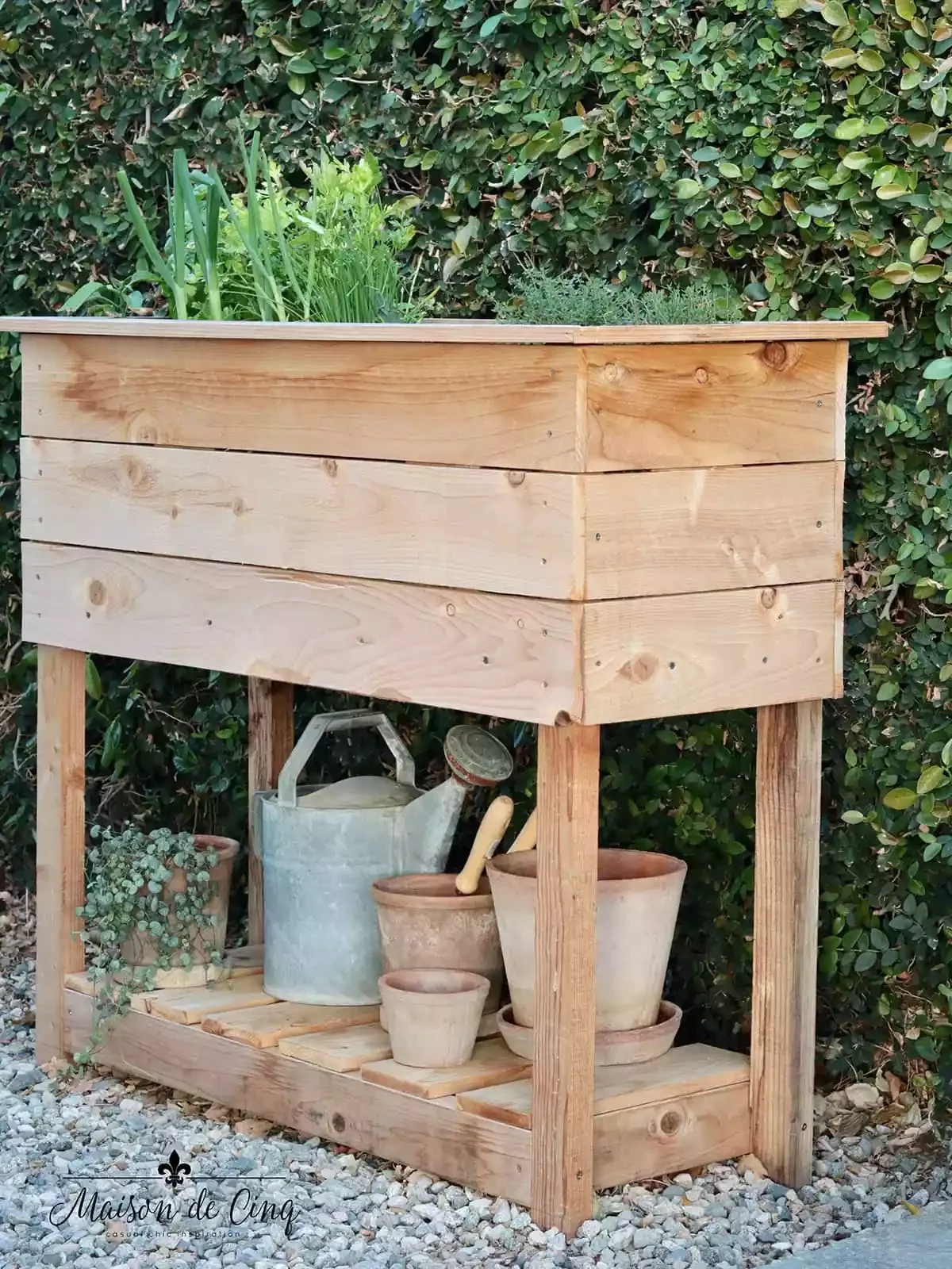 Plant a Mini Herb Garden
