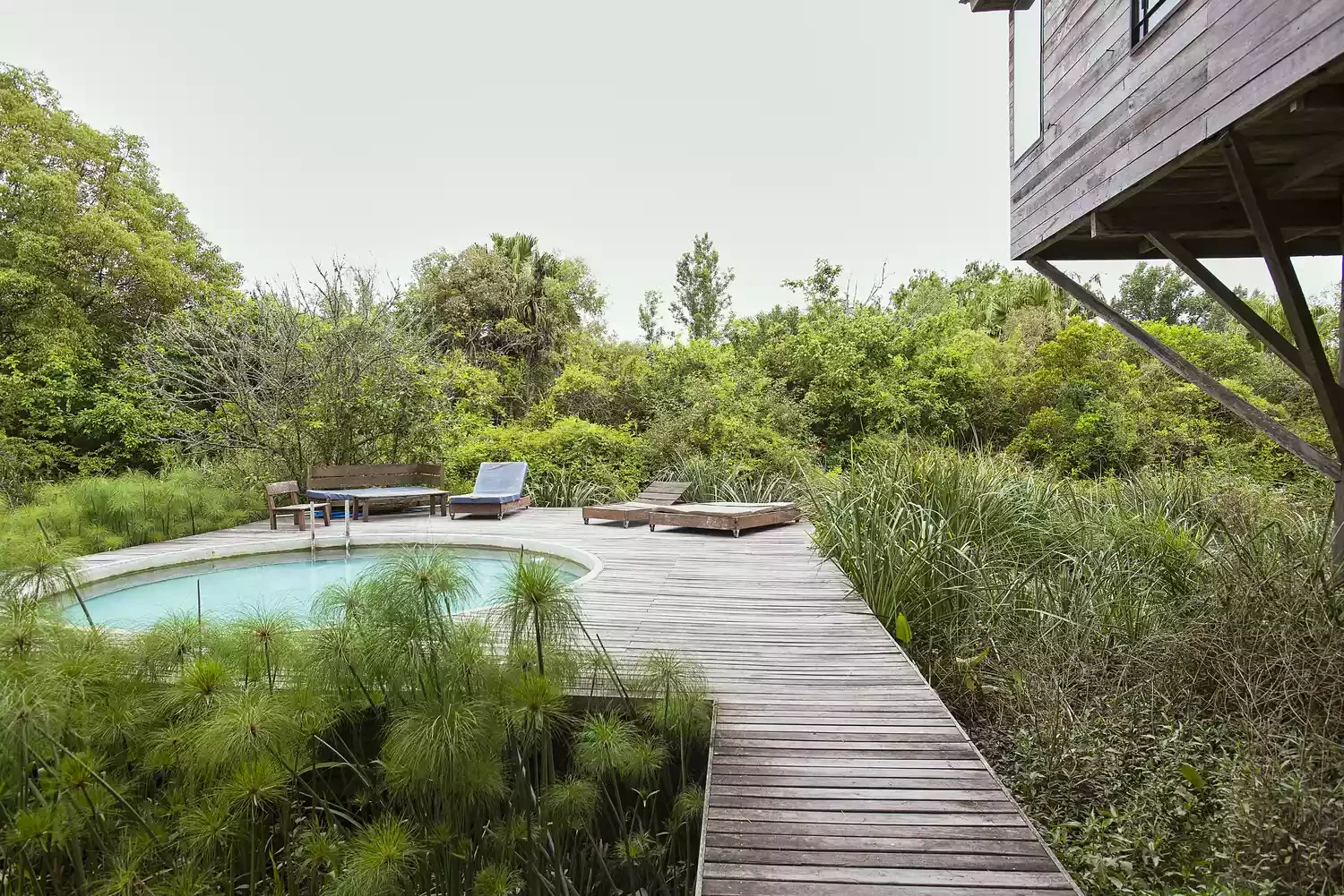 20 Stunning Above-Ground Pool Landscaping Ideas to Transform Your Backyard 12 Plant a Natural Landscape