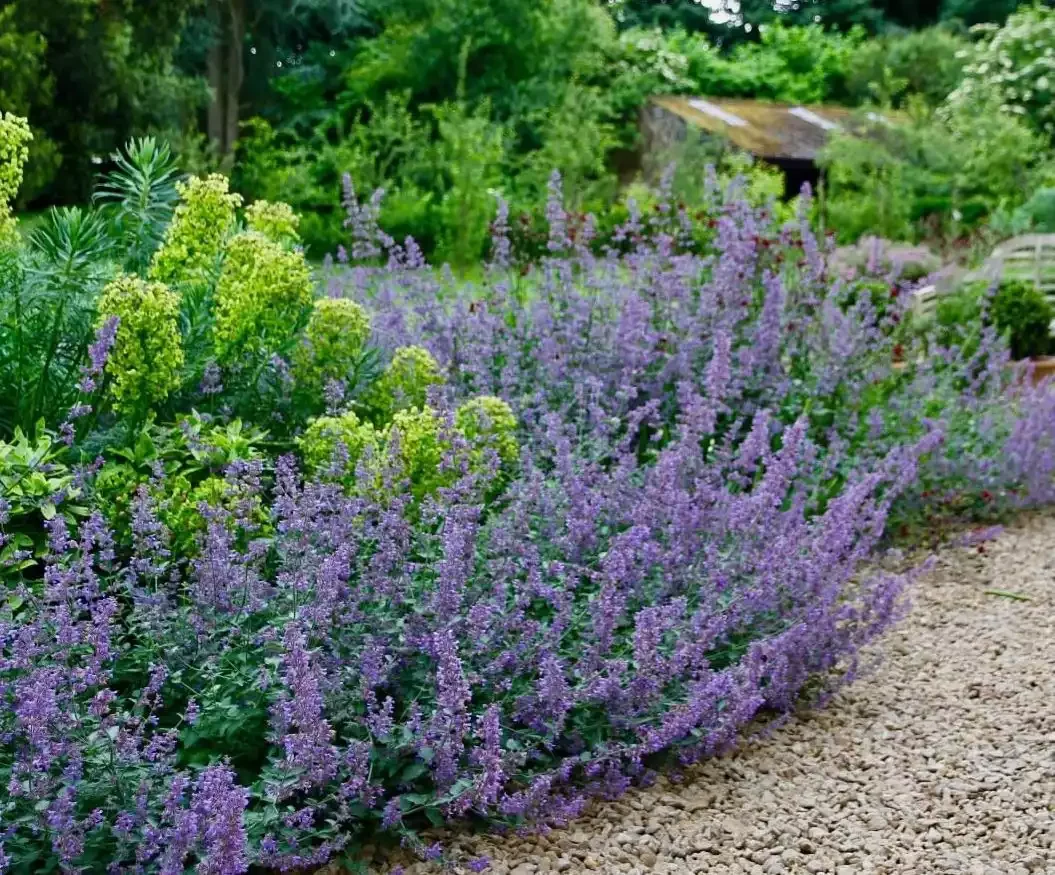 37 Stunning Flower Bed Designs That Will Transform Your Garden Plant for Pollinators