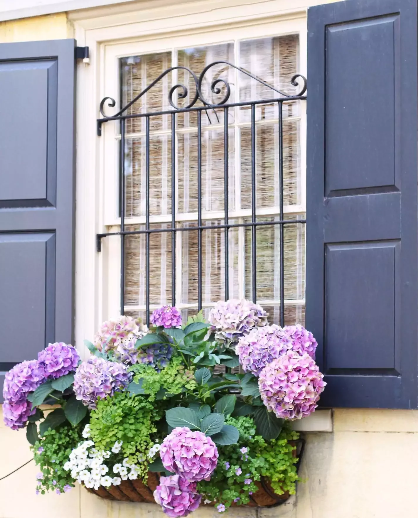 82 Stunning Front Yard Landscaping Ideas to Transform Your Home's Curb Appeal This Spring Planter-Friendly Hydrangeas