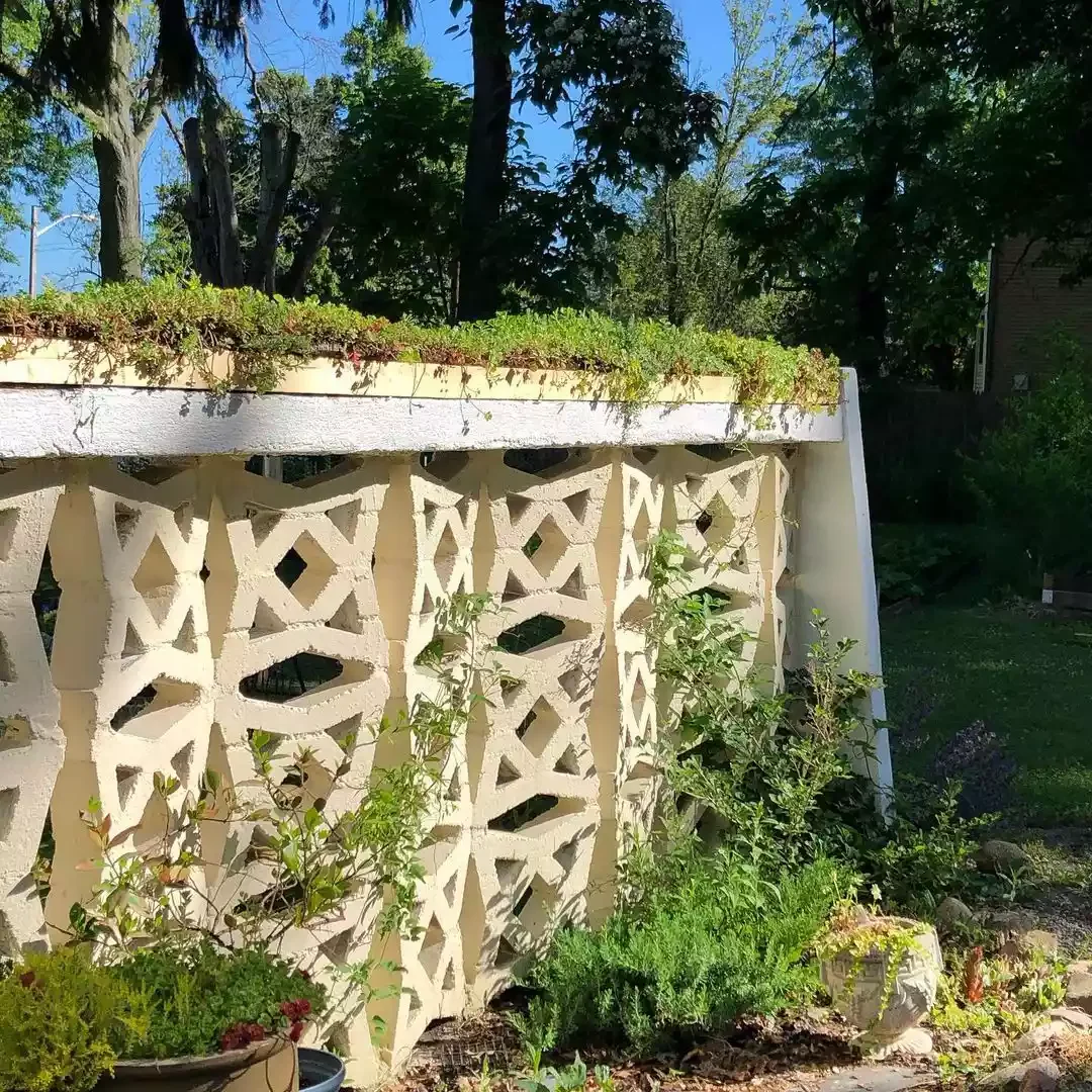 Plants Growing On Top