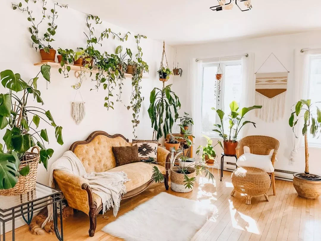 16 Beautiful Ways to Create Your Dream Indoor Garden Space Plants to Complement Boho Style