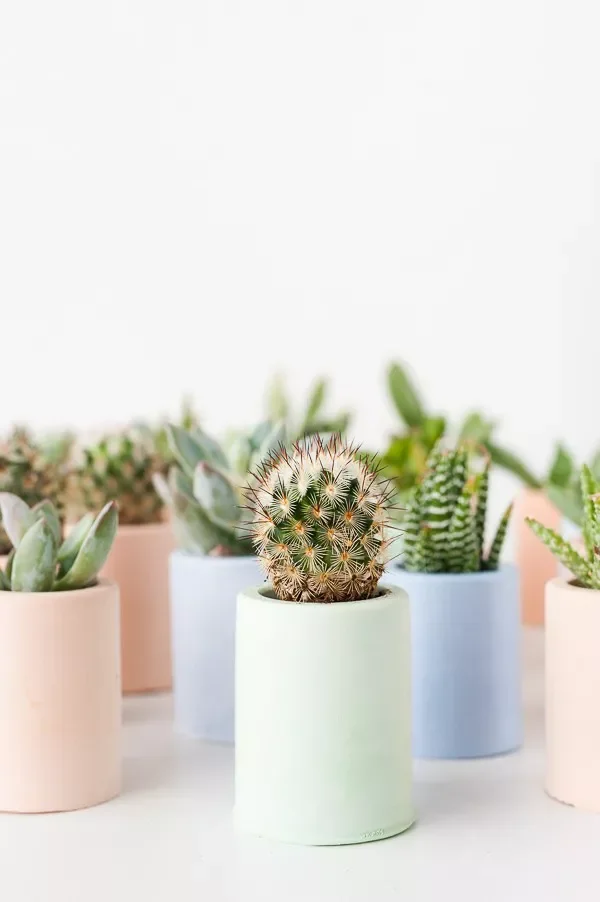 52 Gorgeous Spring Table Centerpiece Ideas to Transform Your Dining Space 30 Plaster Planters