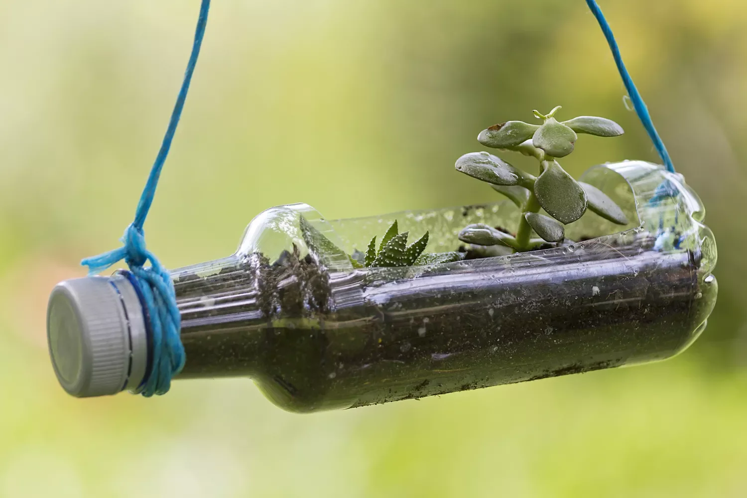 35 Creative DIY Garden Projects to Transform Your Outdoor Space Plastic Bottle Garden