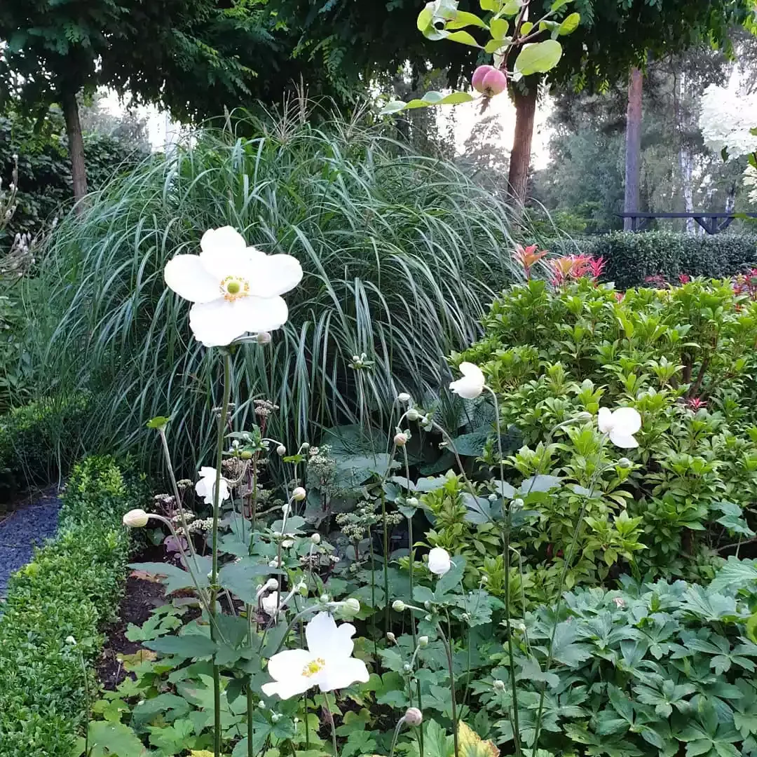 13 Effortless Garden Border Ideas That'll Transform Your Outdoor Space Play With Height