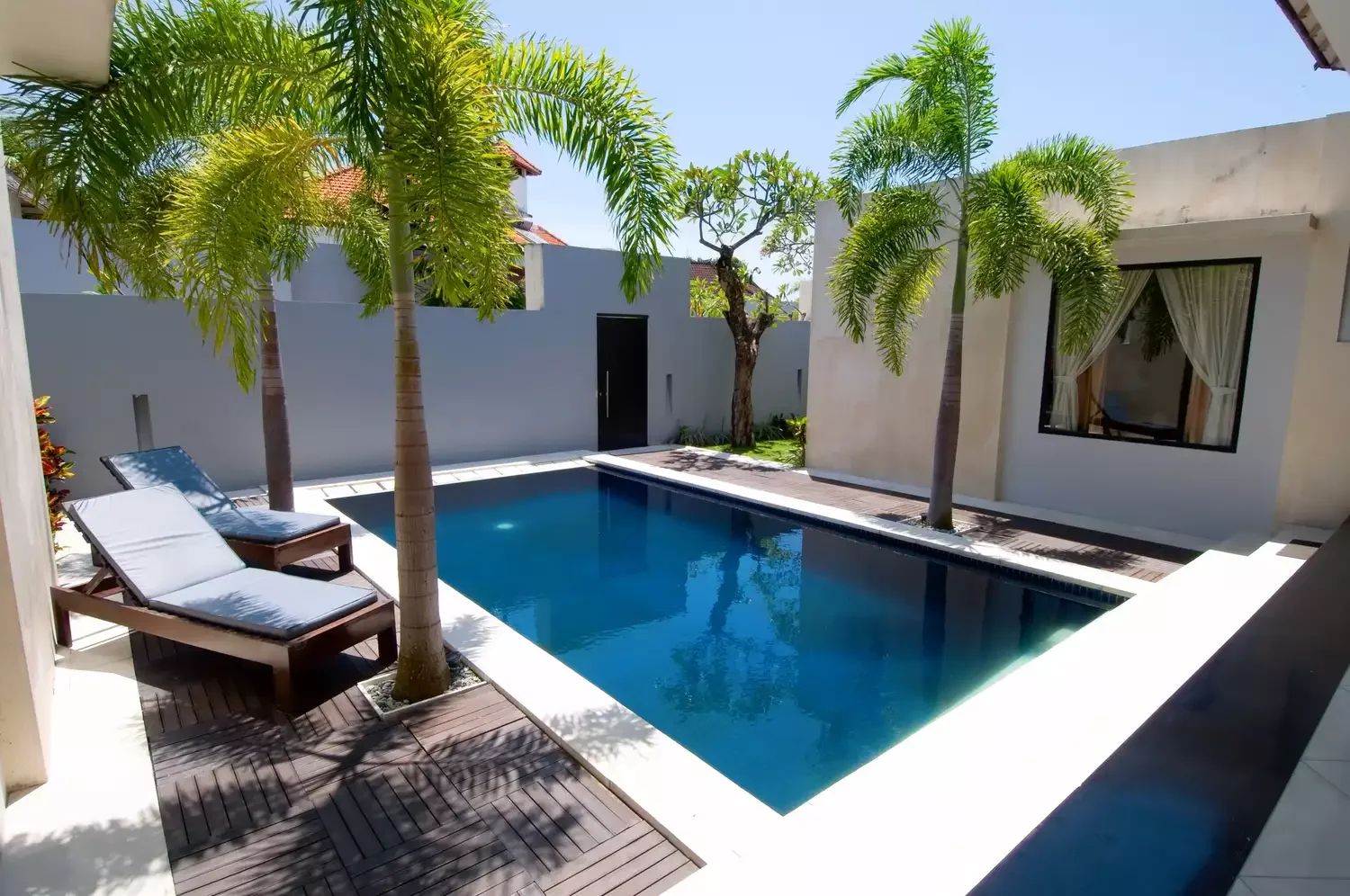 37 Stunning Plunge Pool Designs to Transform Your Backyard Into a Cool Summer Retreat 23 Plunge Pool With Palm Trees