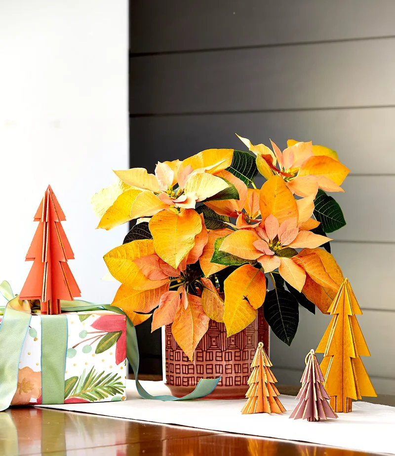 Poinsettia Christmas Centerpiece