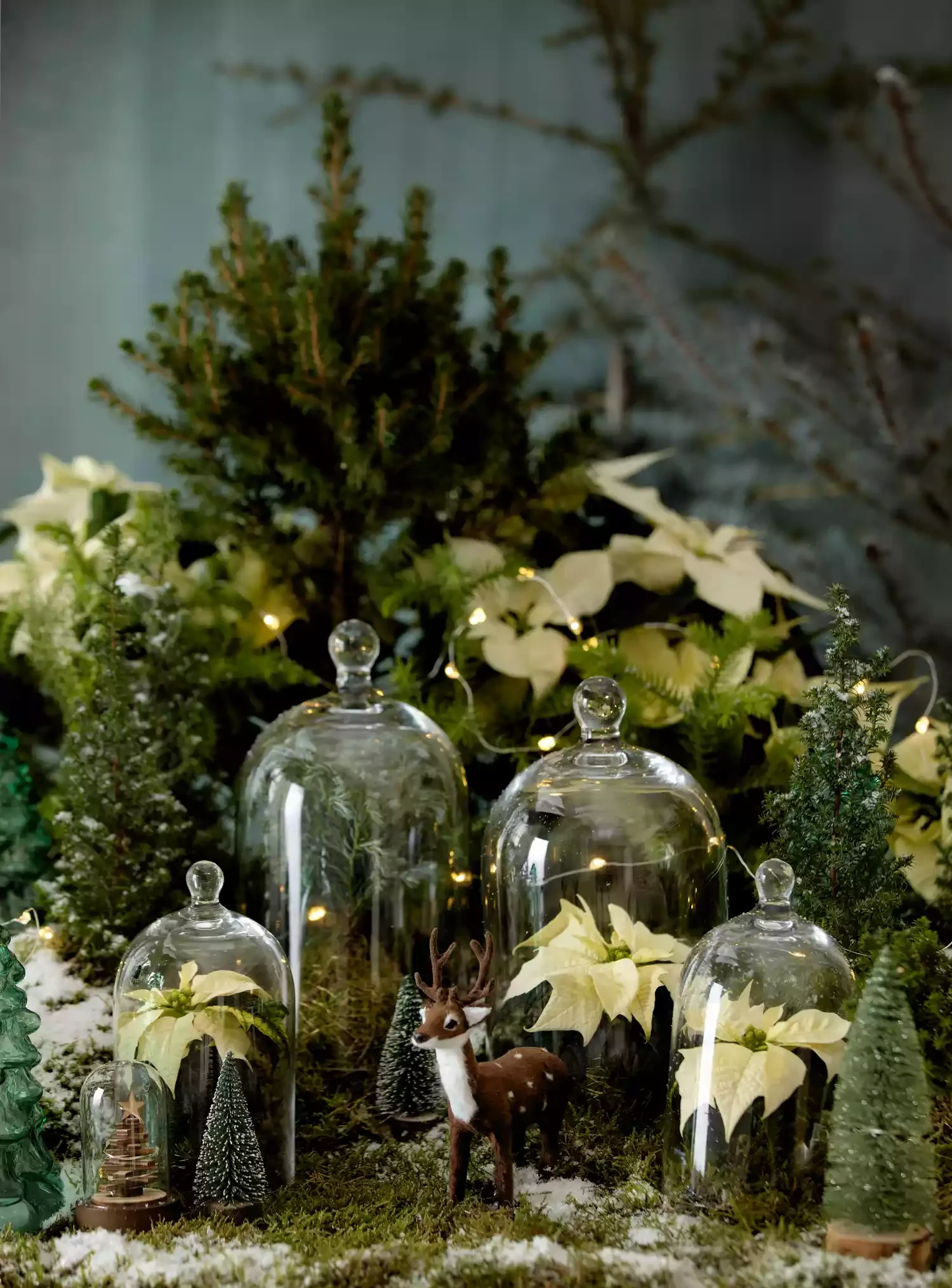 21 Stunning Poinsettia Display Ideas to Transform Your Holiday Home 11 Poinsettia Cloche Decor