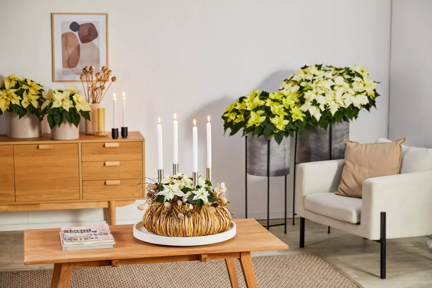 21 Stunning Poinsettia Display Ideas to Transform Your Holiday Home 15 Poinsettias as Living Room Decor