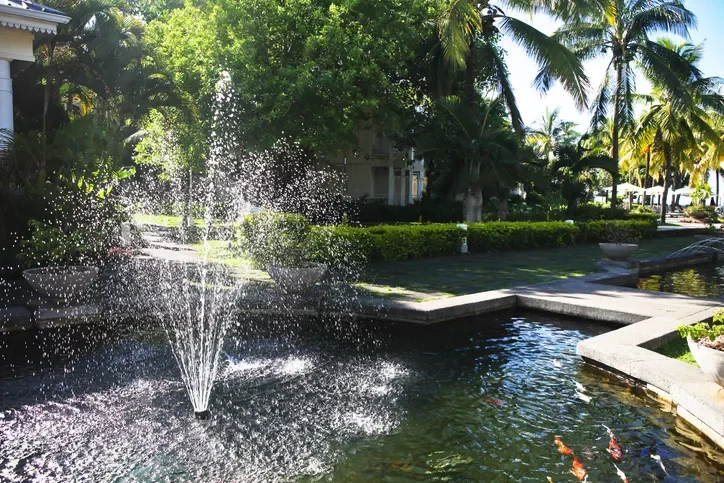 24 Beautiful Koi Pond Designs to Transform Your Outdoor Space Pond With Fountains
