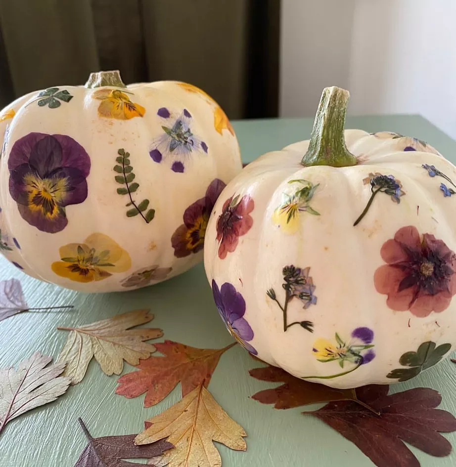 45 Creative No-Carve Pumpkin Decorating Ideas That Don't Need a Single Cut 1 Pressed Dried Flowers