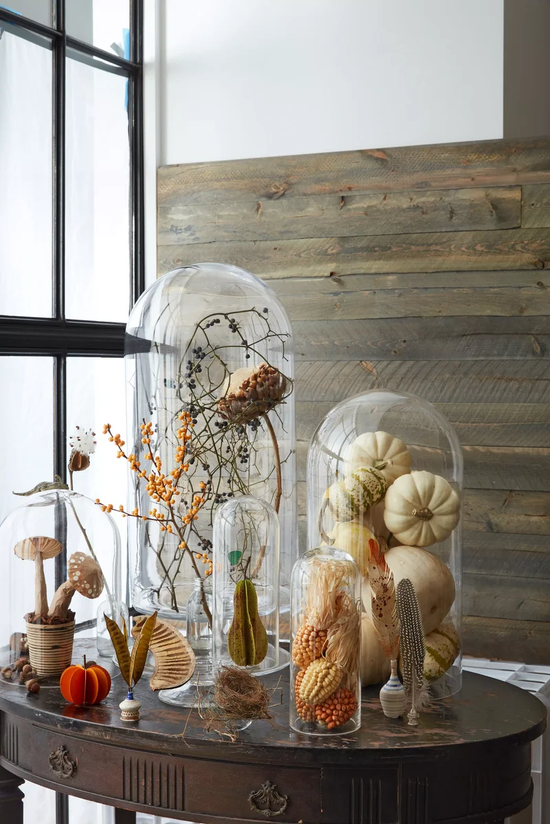 25 Elegant White Pumpkin Ideas for Stunning Fall Decor 6 Pumpkin-Filled Cloches