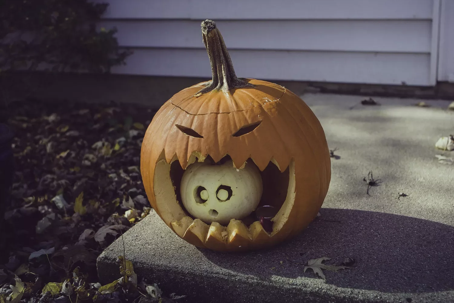 77 Creative Pumpkin Carving Ideas That'll Transform Your Fall Decorating Game 66 Pumpkin Getting Eaten