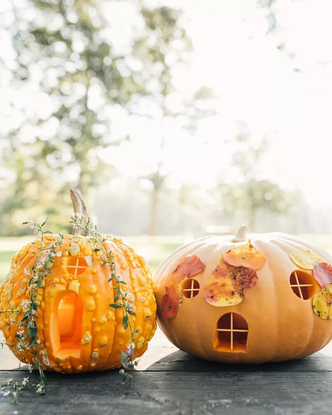 77 Creative Pumpkin Carving Ideas That'll Transform Your Fall Decorating Game 64 Pumpkin Houses with Nature Decor