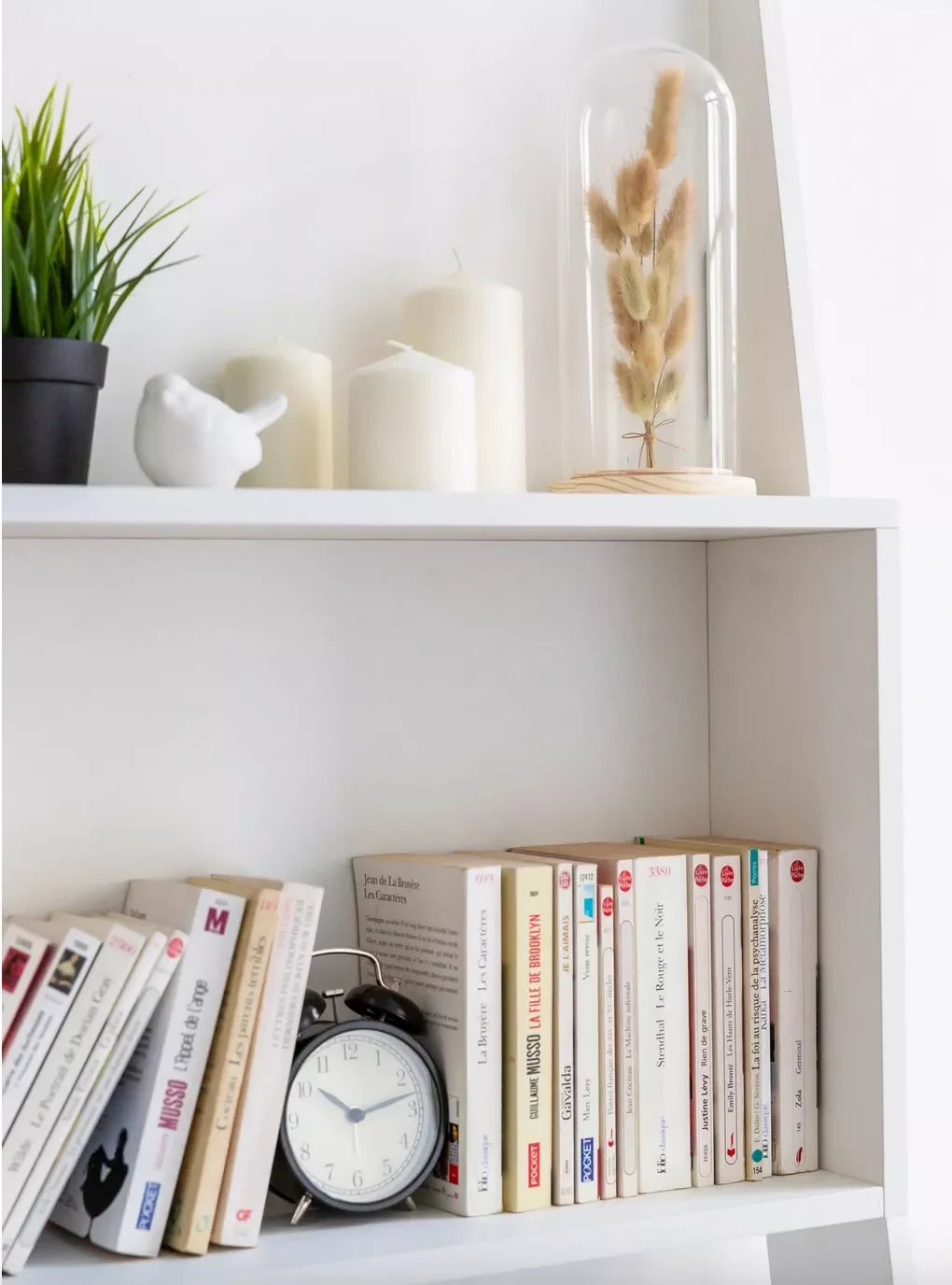 45 Shelf Styling Ideas That'll Transform Your Space Like a Design Pro 34 Put Something Under a Cloche