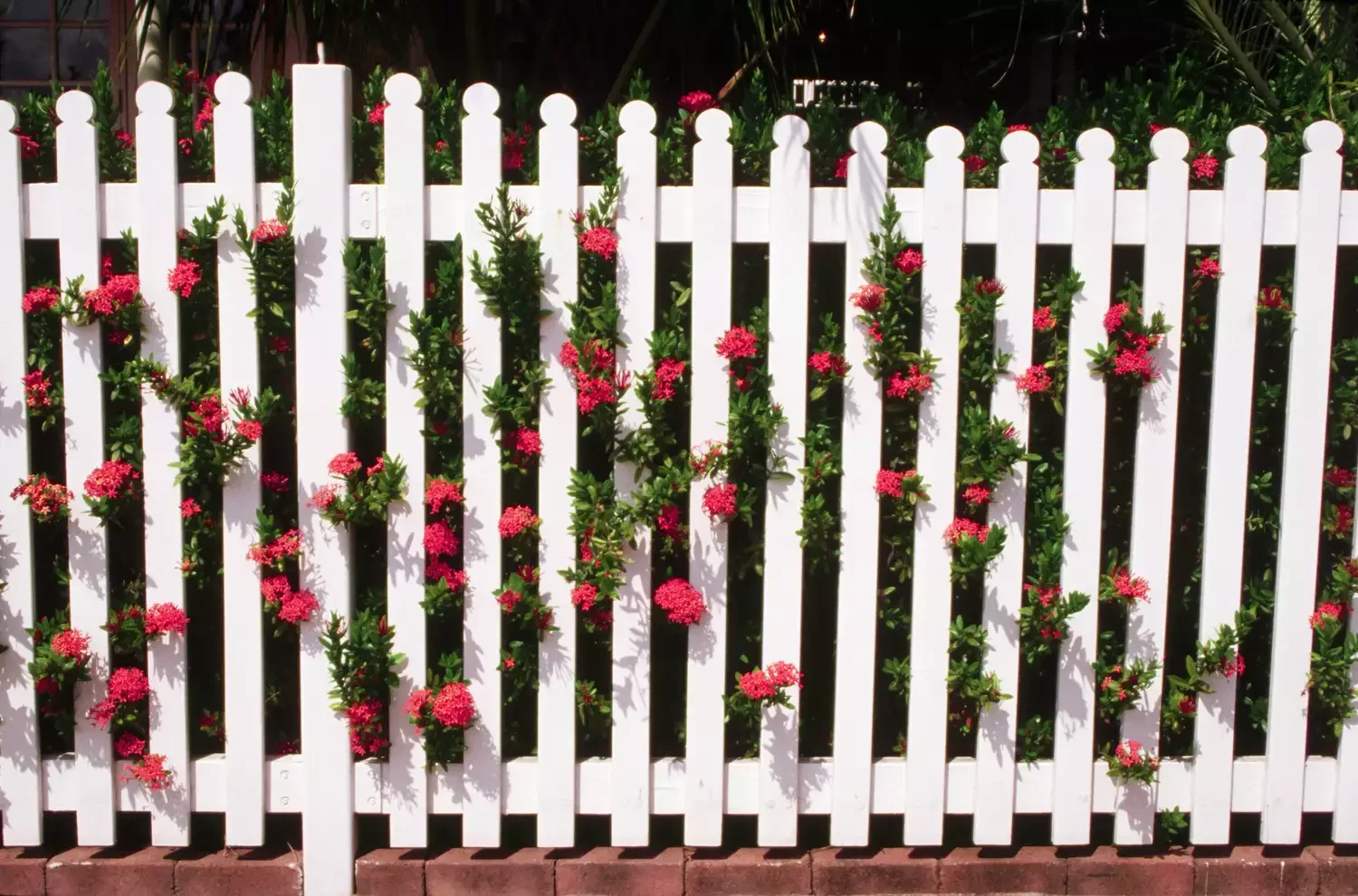 23 Budget-Friendly Front Yard Makeover Ideas That Will Wow Your Neighbors Put Up a Fence