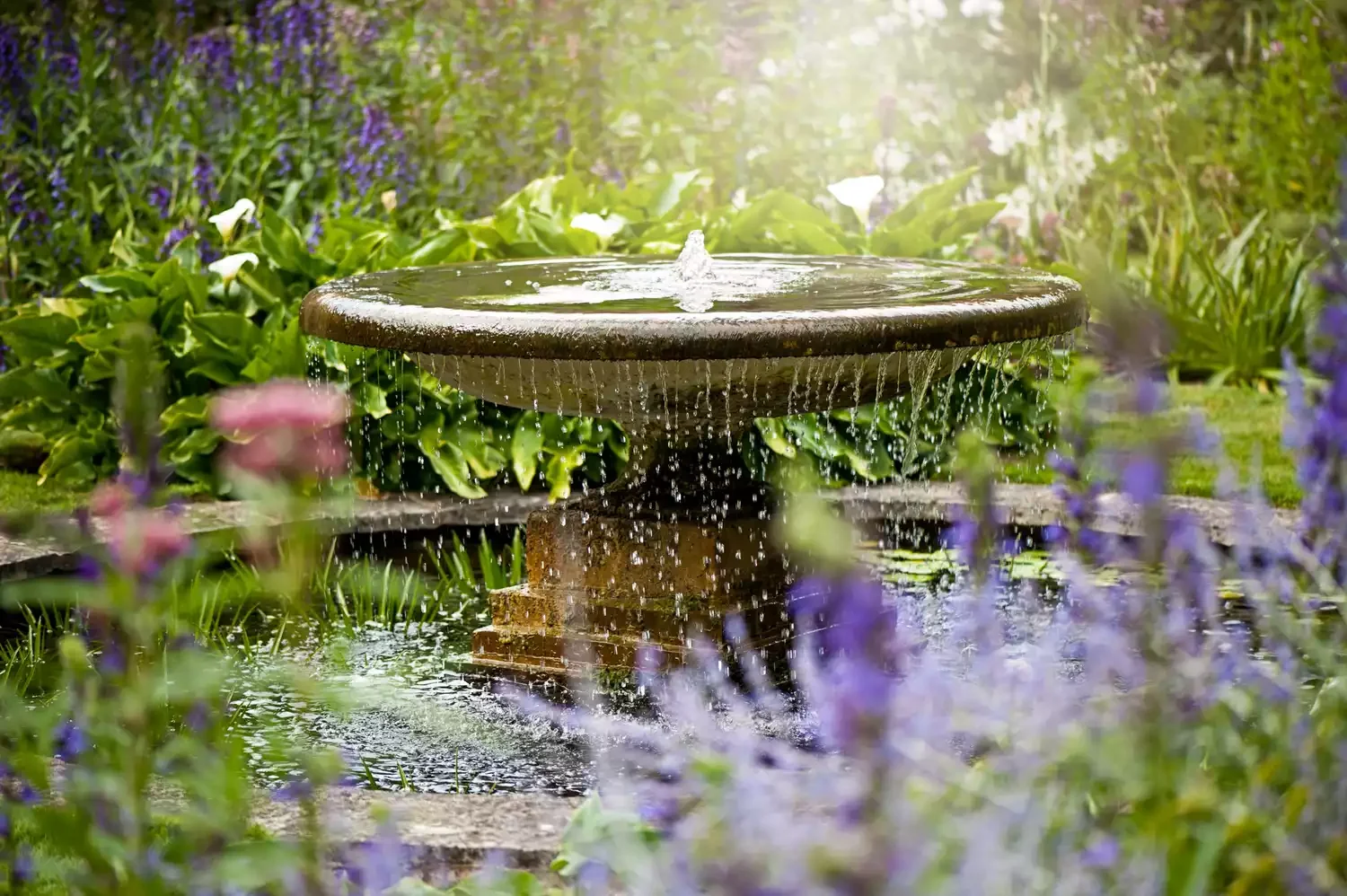 23 Budget-Friendly Front Yard Makeover Ideas That Will Wow Your Neighbors Put Up a Water Feature