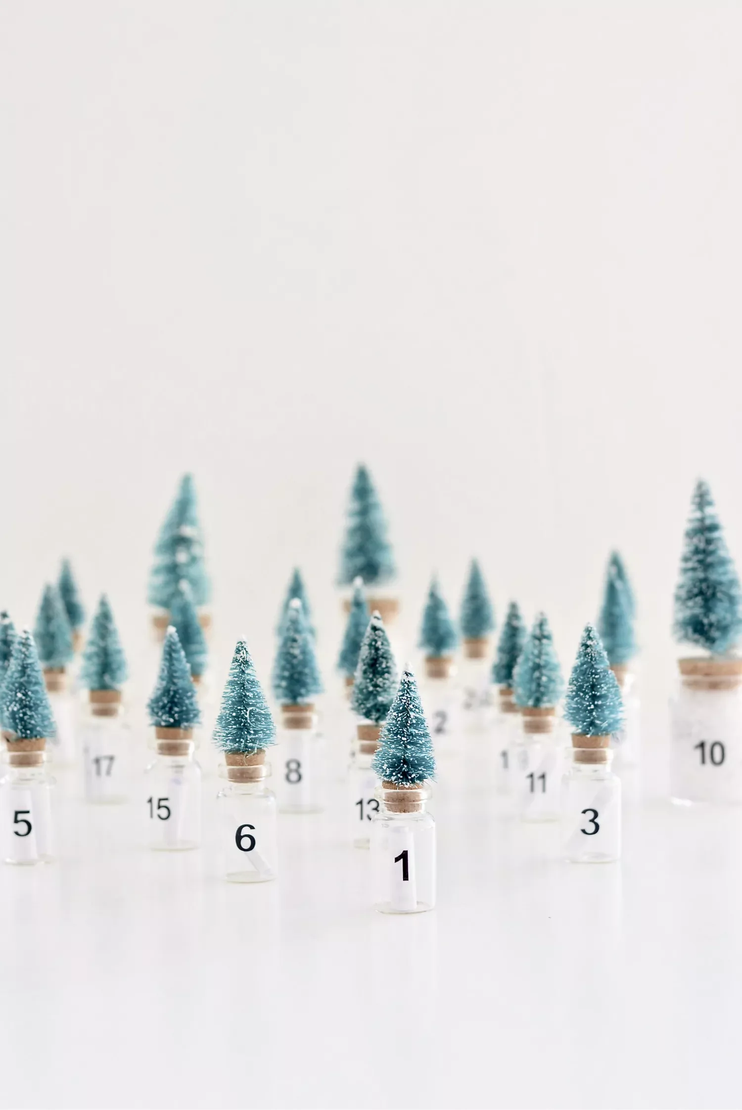 50 Stunning DIY Advent Calendar Ideas That Look Designer-Made 6 Put a Message In a Bottle