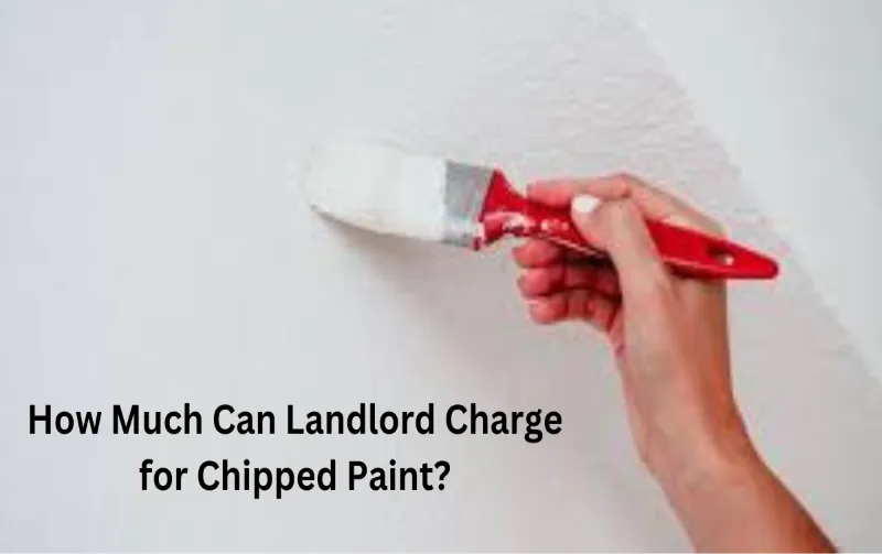 Quick Tips: How Much Can Landlord Charge for Chipped Paint