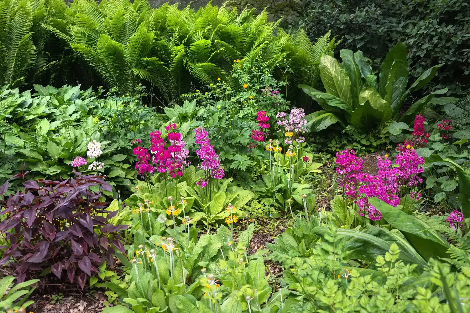 27 Stunning Flower Garden Designs to Transform Your Outdoor Space Rain Garden