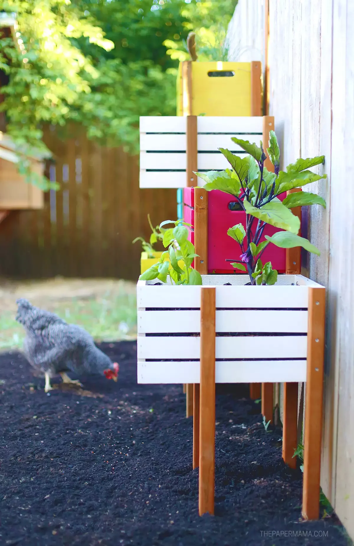 28 Creative DIY Vertical Garden Projects to Transform Your Space Rainbow Vertical Garden