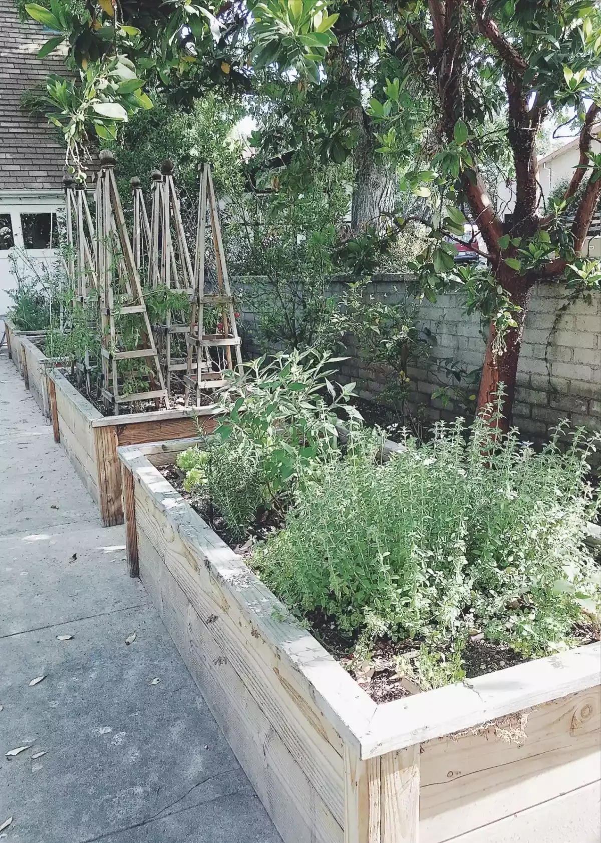 15 Charming Rustic Garden Design Ideas to Transform Your Outdoor Space Raise the Vegetable Garden