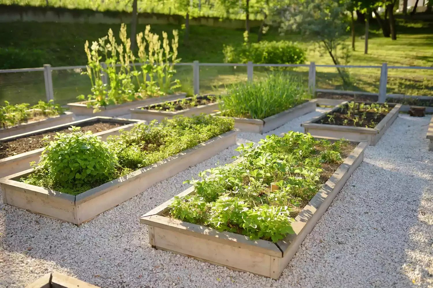 23 Creative Garden Design Ideas That Will Transform Your Outdoor Space Raised Garden Beds