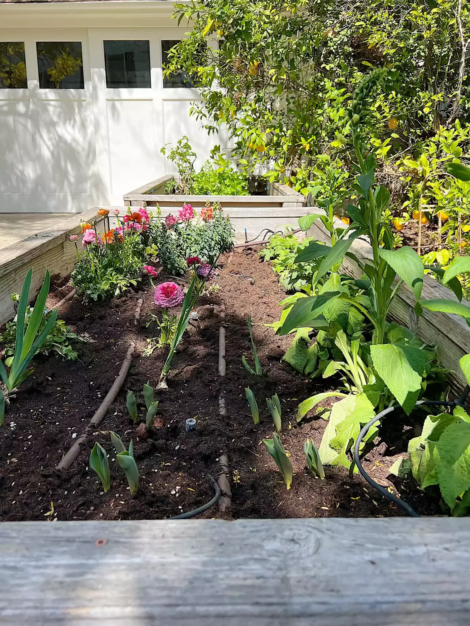27 Stunning Flower Garden Designs to Transform Your Outdoor Space Raised Garden Beds