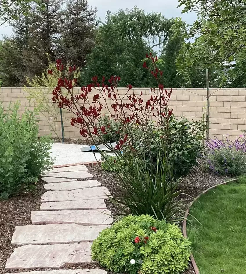 25 Stunning Garden Border Ideas That'll Transform Your Yard Into a Polished Paradise Raw Corten Steel Edging
