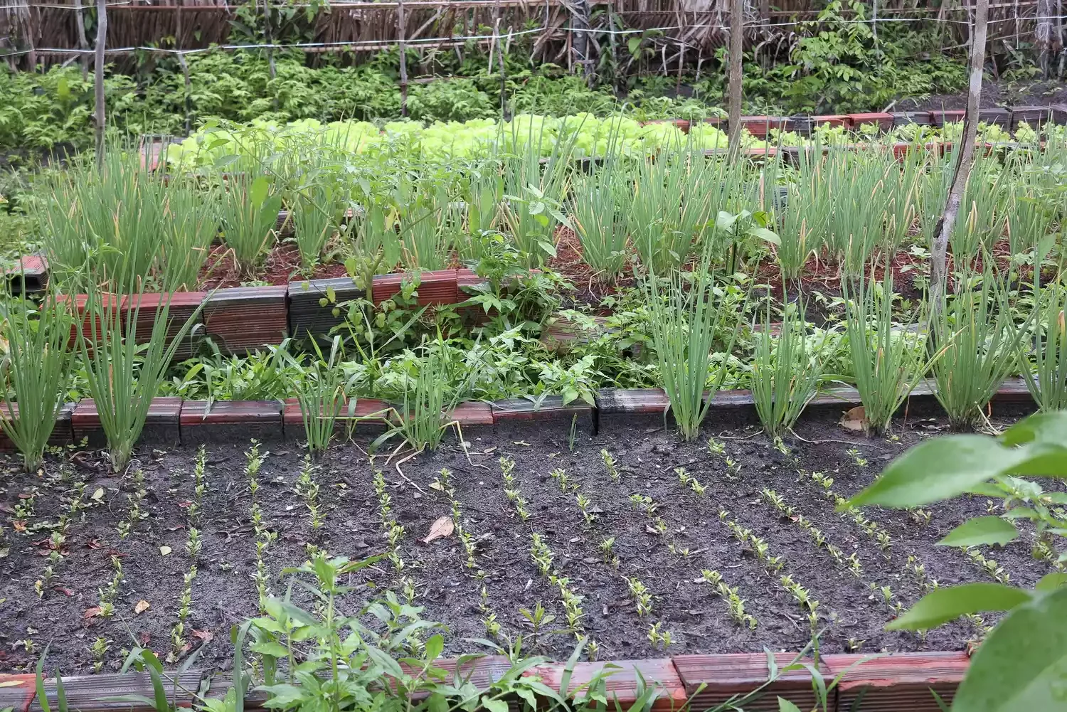 26 Vegetables Garden Ideas That Keep Your Home Stocked with Year-Round Recycle Brick Pavers for Edging
