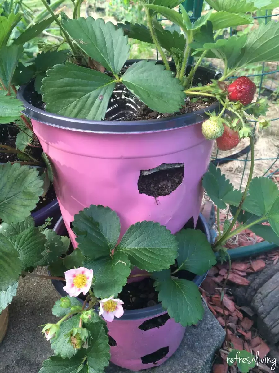 Recycled Planter