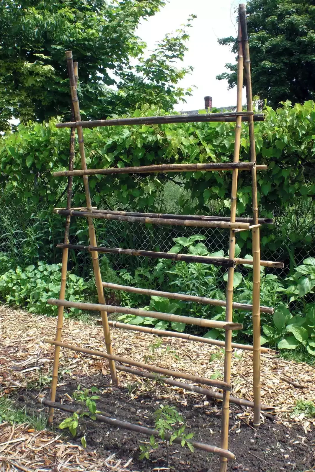 Recycled Tiki Torch Cucumber Trellis