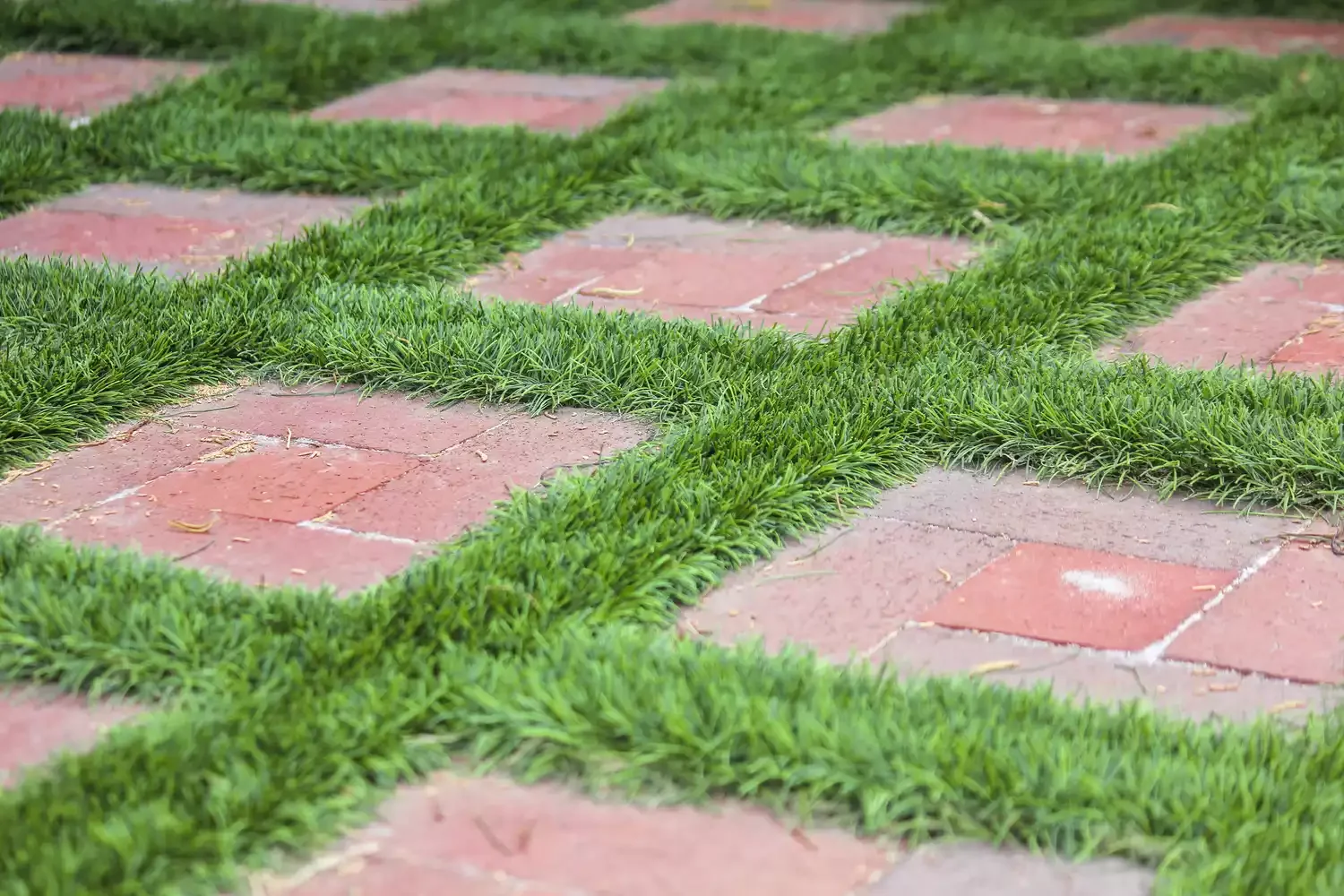 45 Beautiful Backyard Pathway Ideas to Transform Your Outdoor Space Red Clay Walkway