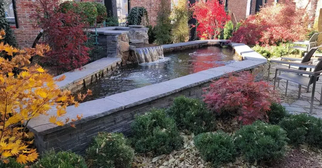Reflecting Seasonal Color