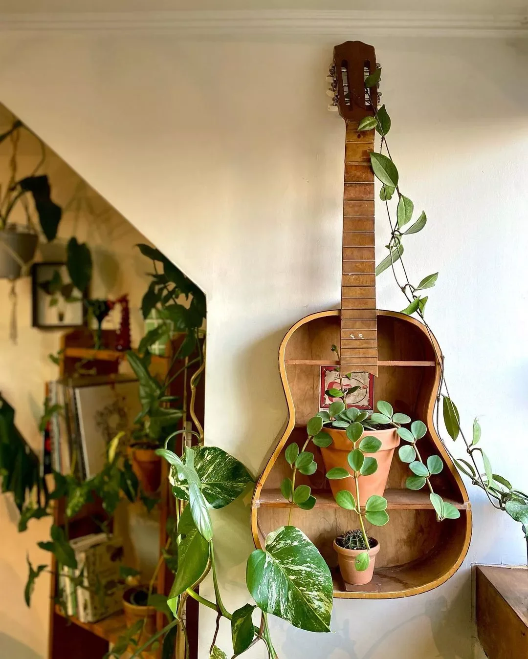 15 Creative Plant Display Ideas That'll Transform Your Home Into a Green Paradise 6 Repurpose an Everyday Object