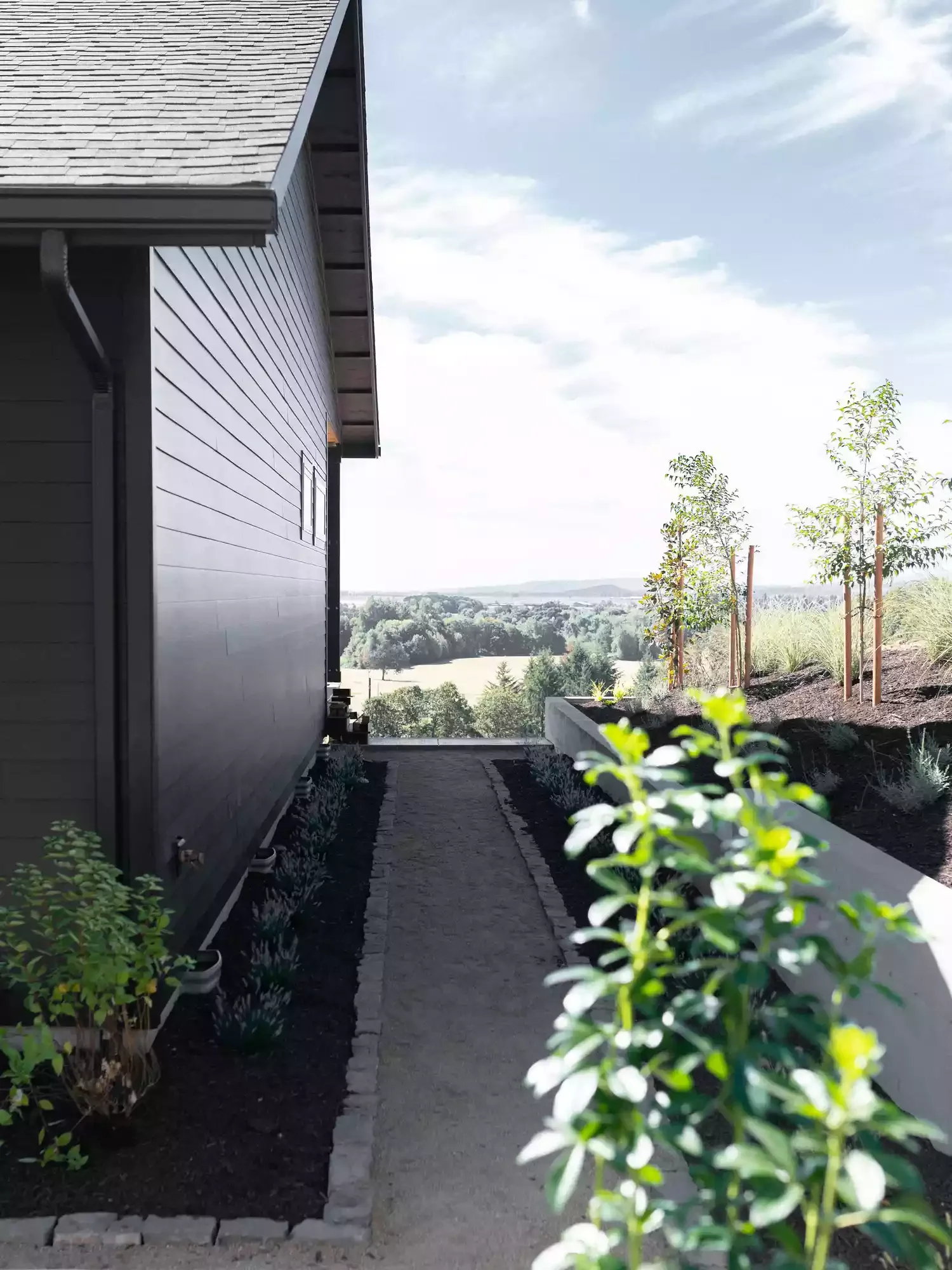 37 Stunning Retaining Wall Ideas to Transform Your Sloped Backyard Retaining Wall for Trees